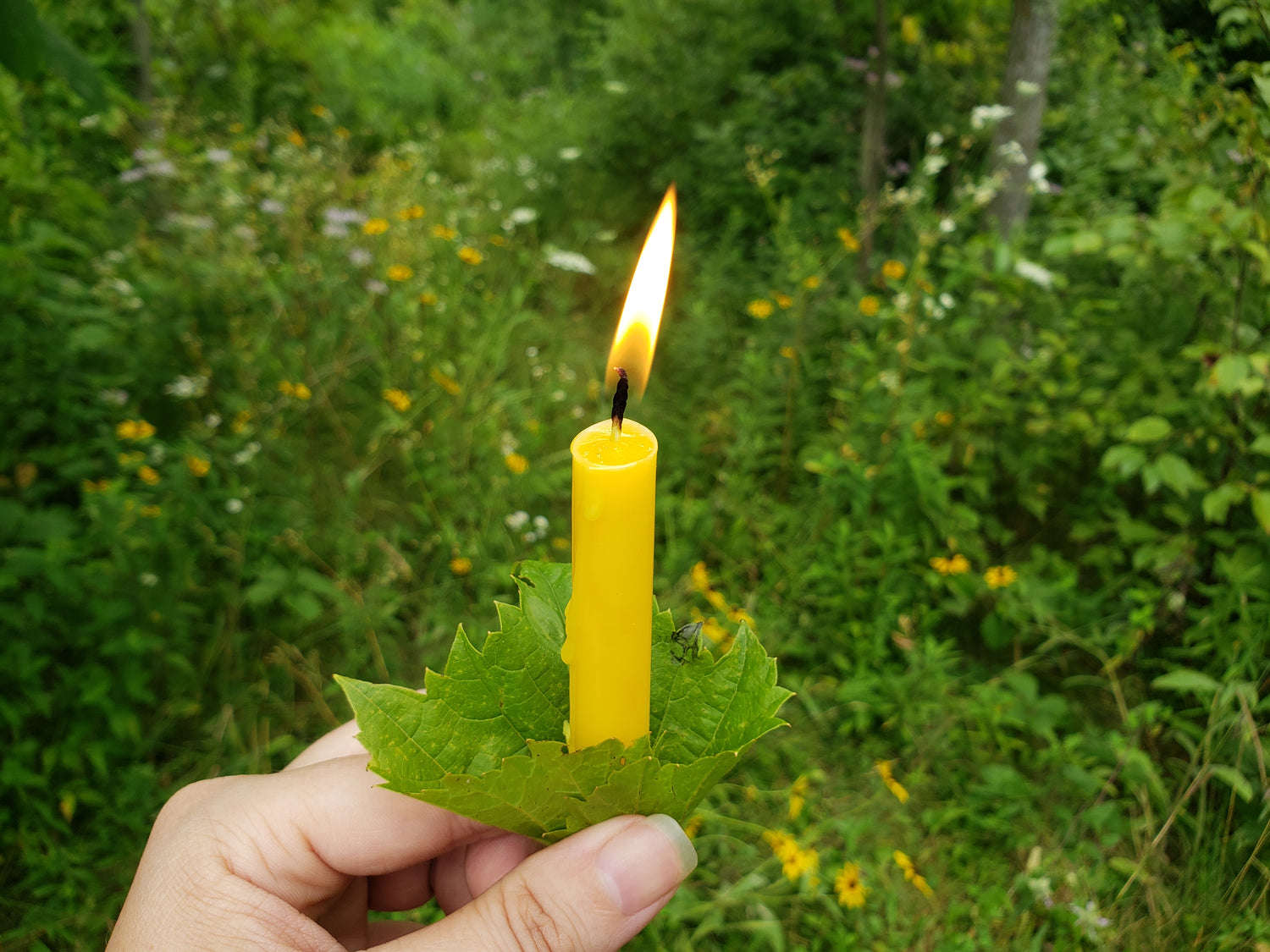 Ritual Candles