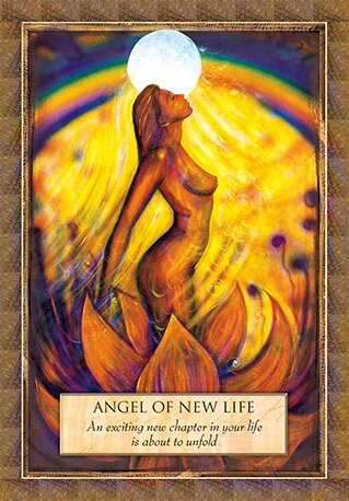 Angels Gods and Goddesses Oracle by Toni Carmine Salerno